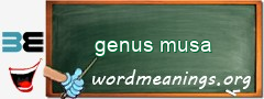 WordMeaning blackboard for genus musa